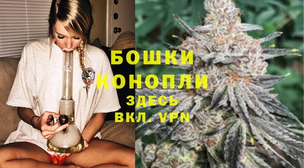 сатива Волоколамск