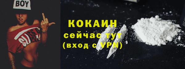 дмт Горнозаводск