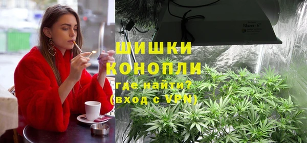 apvp Вяземский