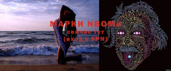 хмурый Болотное