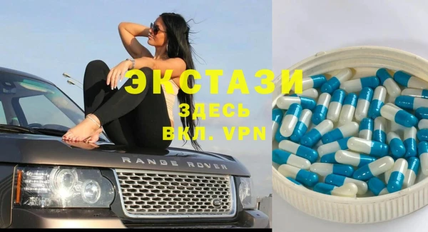 apvp Вяземский