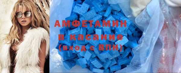 apvp Вяземский